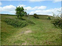 SO7639 : Shire Ditch on Hangman's Hill, Malvern Hills by Chris Allen
