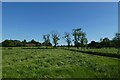 Footpath to New Earswick