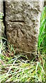 Benchmark on gatepost on SE side of Cocking Lane at Bracka Bank Moor