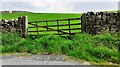 Field gateway on SE side of Cocking Lane at Brocka Bank Moor