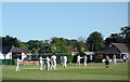 Cricket at Sholden