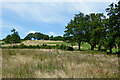 Rough farmland south-west of Stockton Brook, Staffordshire