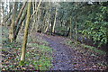 TQ6364 : Footpath, Hopehill Wood by N Chadwick