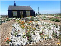 TR0917 : Derek Jarman's garden at Prospect Cottage, Dungeness by Marathon