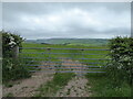 SO2978 : Field gate on Clun Hill by Jeremy Bolwell