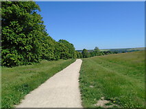 TQ3408 : New Path in Stanmer Park by Paul Gillett