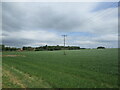 SK2213 : Grass field near Raddle Farm by Jonathan Thacker