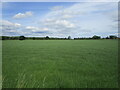 Grass field near Lullington Cross Roads