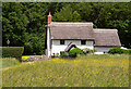 Moor Green : thatched cottage