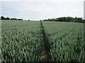 Footpath to Edingale