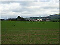 Crop field towards Mains of Baldovan