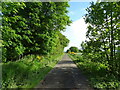 Track heading north from Muirside