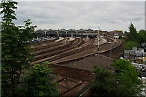 TA0828 : Tracks approaching Hull station by David Lally