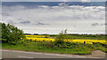 Fields east of the A189 at Newbiggin