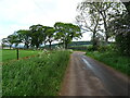 Minor road near West Mains of Kincaldrum 