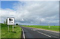 A94 towards Douglastown