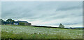 Farm buildings west of the Moneygore Road junction on the A25