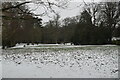 Snow, Grosvenor Grounds