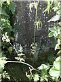 Middle Brunton West Farm Trig Point