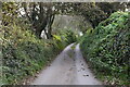 Quiet Devon lane