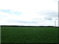 Crop field, Leightonhill