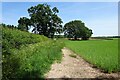 Grove Park Footpath