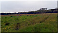 A field by the B3294 near Coverack