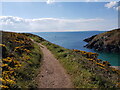 SM7423 : Looking out to sea, Porthclais by Jeff Gogarty