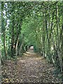 Church (Monks) Path