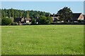 Pasture and houses, Appleshaw