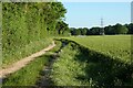 Farmland, Penton Mewsey