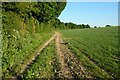 Farmland, Penton Mewsey