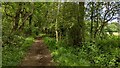 Bridleway heading to Bycell Road