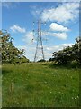 NS5478 : Electricity pylon by Richard Sutcliffe