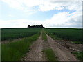 Farm track west of Mains of Errol