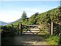 NY2725 : Gate on The Cumbria Way, Mallen Dodd by Adrian Taylor