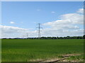 Crop field and power lines, Inchmichael