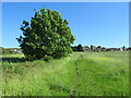 Footpath near Huddersfield