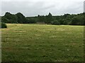 Clearing land within woodland