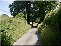 Lane near Hampton Heath