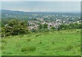 View over Mains Estate