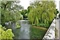 Amesbury: The River Avon from the road bridge over it