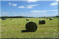 Silage bales near East Bank