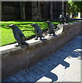 Penguin Statues, Dundee