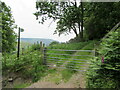 Footpath through gate