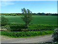 The Lunan Water and crop field