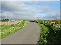 Minor road from Wellbank towards Chapel Road