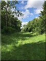 Footpath to Geddington