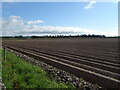 Furrowed field, Muir of Lour