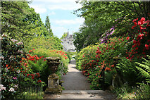 NT1635 : Azalea Terrace, Dawyck Botanic Garden by Billy McCrorie